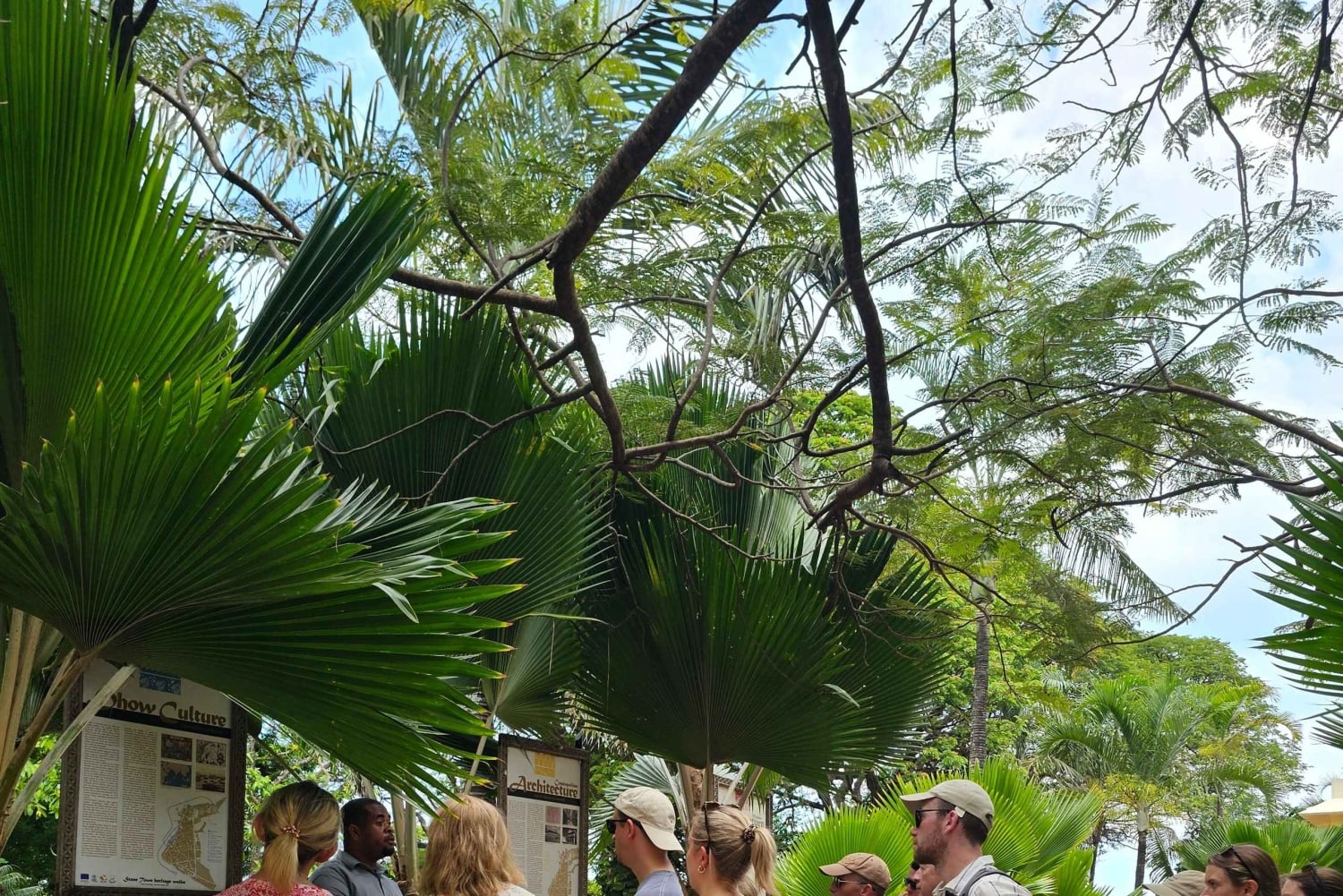 Zanzibar: tour degli angoli nascosti con degustazione di caffè locale