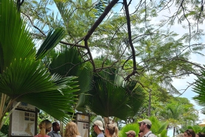 Zanzibar: tour degli angoli nascosti con degustazione di caffè locale