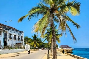Sansibar: Stone Town & Prison Island Abenteuer mit Schildkröte