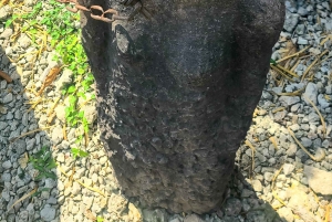 Sansibar: Stone Town & Prison Island Abenteuer mit Schildkröte