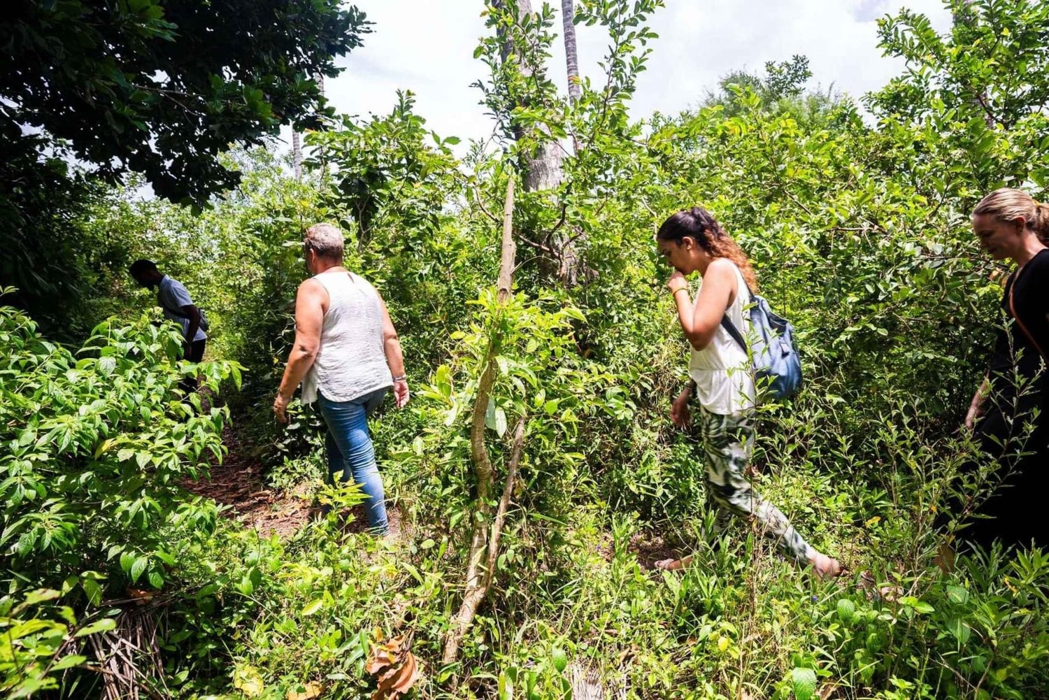 ZANZIBAR, historische steenstadstour + deskundige kruidenboerderijtour