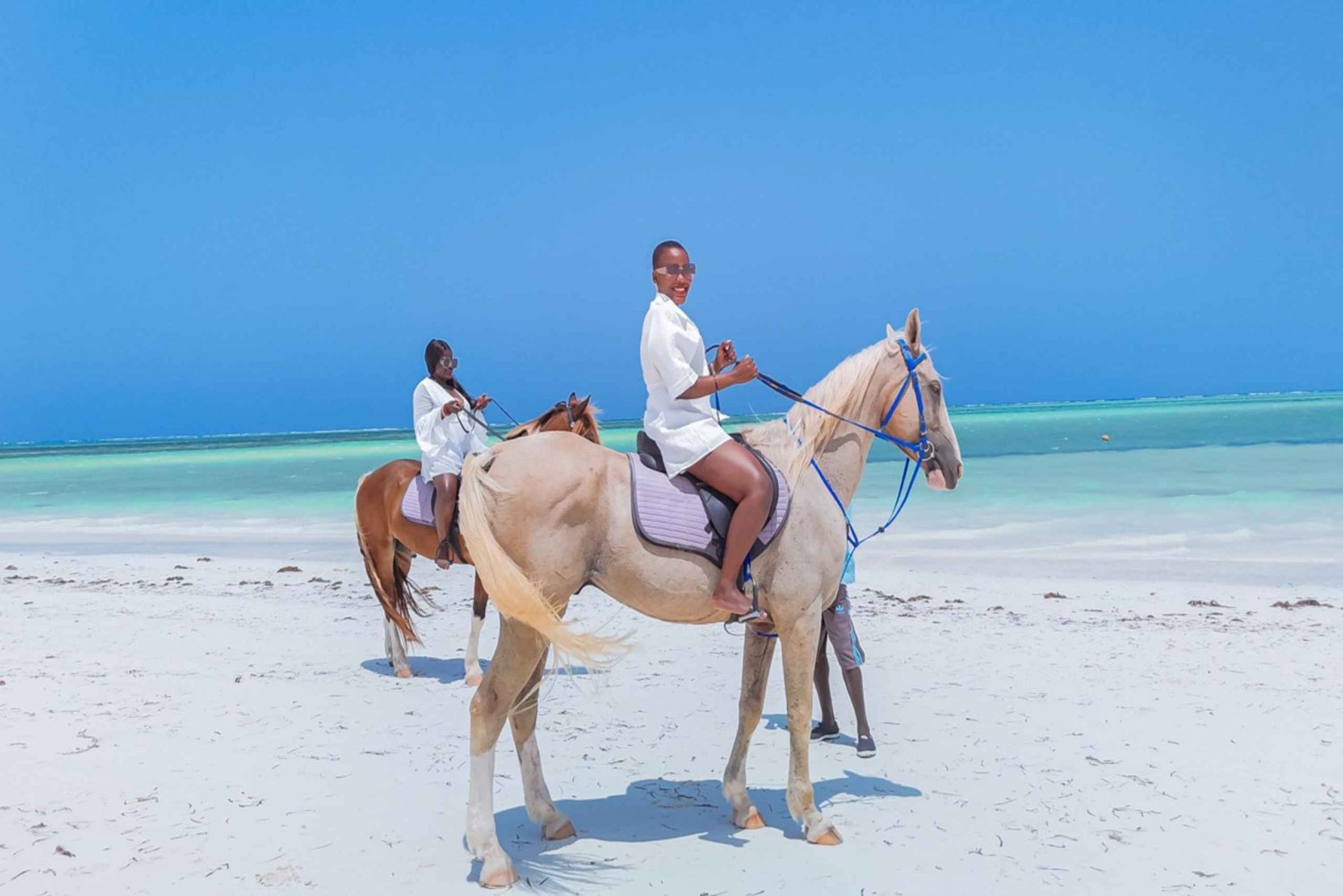 Zanzibar: Ridning og kajaksejlads med video og fotos
