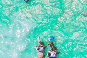 Zanzibar: Ridning og kajaksejlads med video og fotos