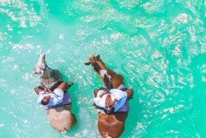 Zanzibar: Ridning og kajaksejlads med video og fotos