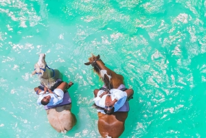 Sansibar: Reiten und Kajakfahren mit Video und Fotos