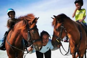 Zanzibar: Rid på hesteryg, svøm med skildpadder og tag på rundtur i Stone Town