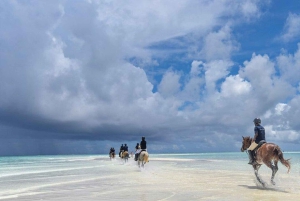 Zanzibar: Rid på hesteryg, svøm med skildpadder og tag på rundtur i Stone Town