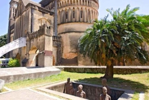 Zanzibar: Rid på hesteryg, svøm med skildpadder og tag på rundtur i Stone Town