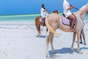 Zanzíbar: paseo a caballo, tortugas y Ciudad de Piedra