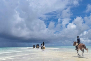 Zanzíbar: paseo a caballo, tortugas y Ciudad de Piedra