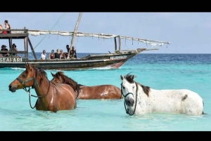 Zanzíbar: paseo a caballo, tortugas y Ciudad de Piedra