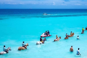 Zanzibar: ridetur og dhow-cruise ved solnedgang