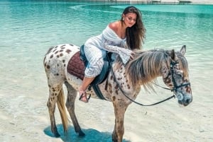 Zanzibar : promenade à cheval et croisière en boutre au coucher du soleil