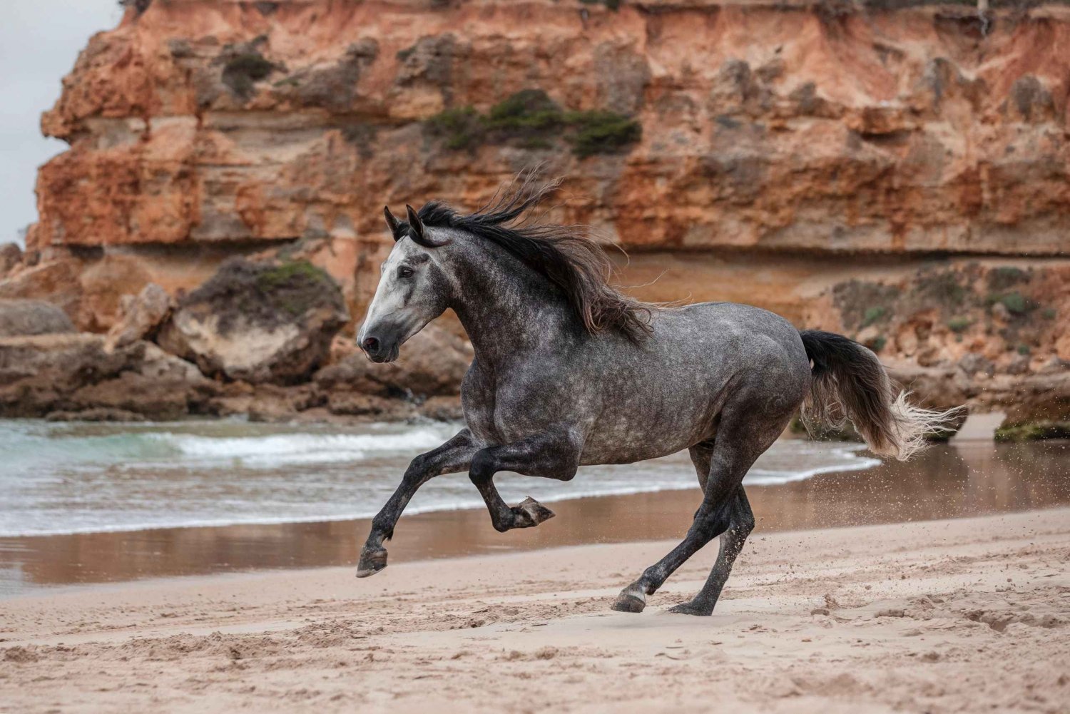 Zanzibar: Horseback Riding and Turtle Aquarium Visit