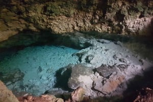 Zanzibar : Randonnée à cheval et visite de l'aquarium des tortues