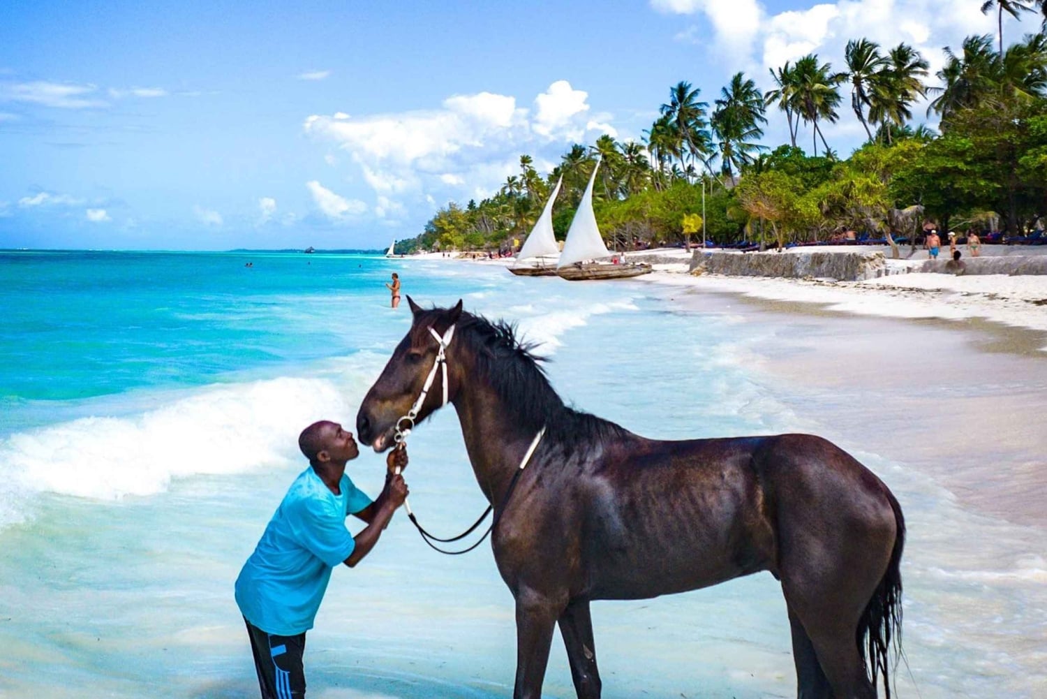 Zanzibar: Tour a cavallo e nuoto con le tartarughe