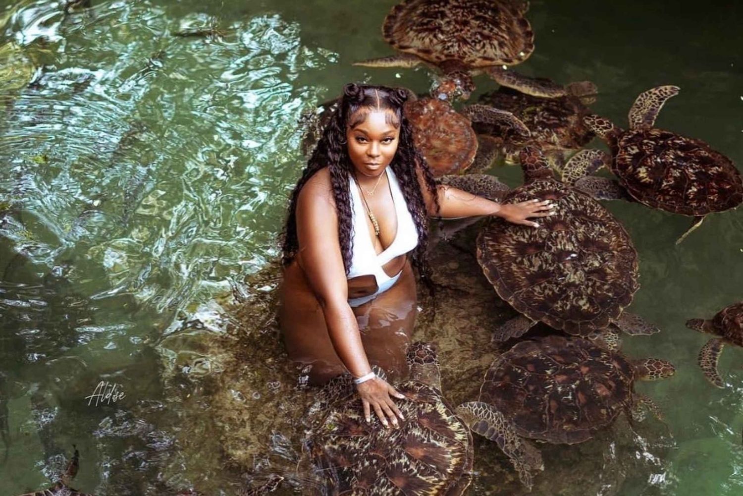 Zanzibar: Tour a cavallo e nuoto con le tartarughe