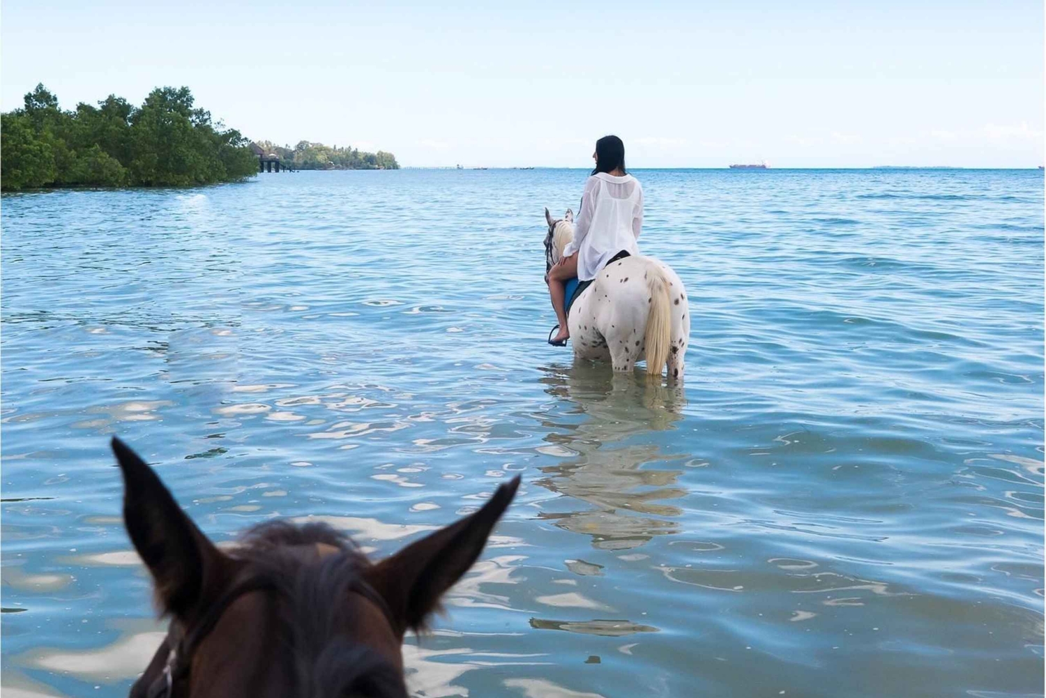 Zanzibar: Tour a cavallo e nuoto con le tartarughe