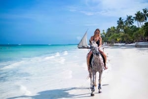 Zanzibar : Randonnée à cheval et baignade avec les tortues