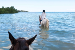 Zanzibar: Tour a cavallo e nuoto con le tartarughe