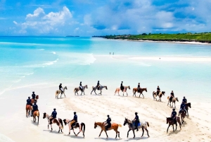 Zanzibar: Tour a cavallo e nuoto con le tartarughe