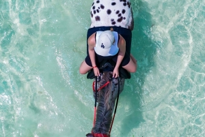 Zanzibar: Tour a cavallo e nuoto con le tartarughe