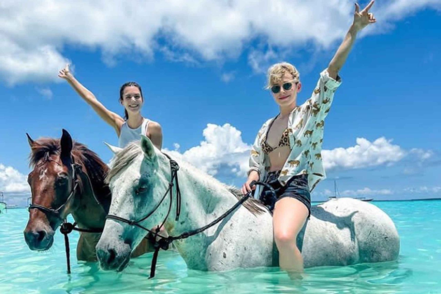 Zanzibar: Ridning på stranden med guide