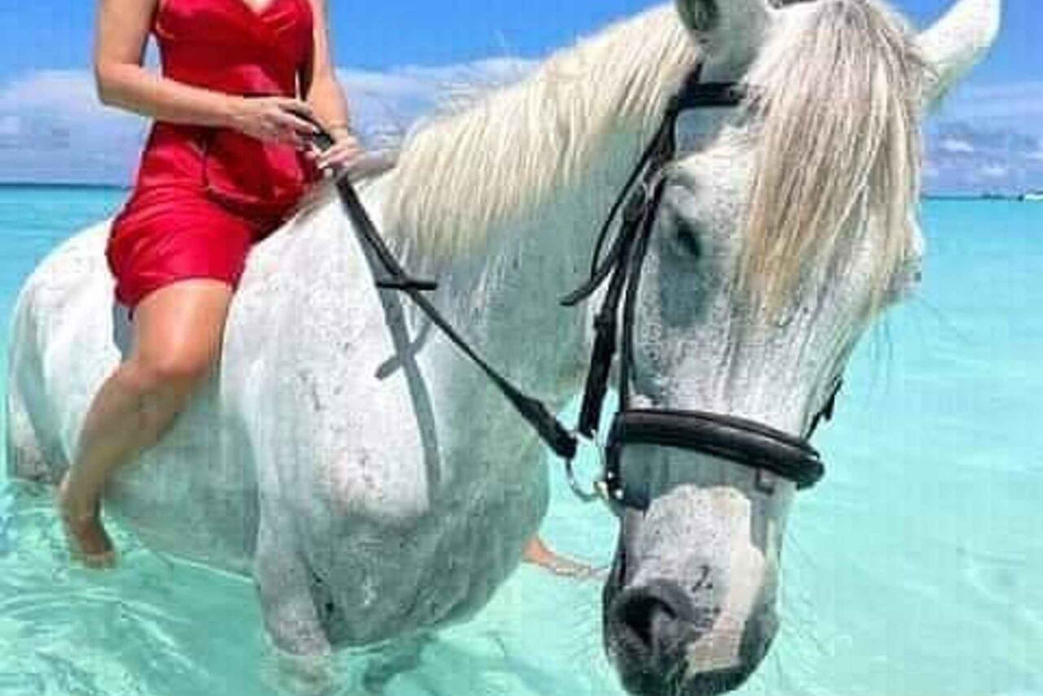 Zanzíbar: Paseo a caballo por la playa con guía