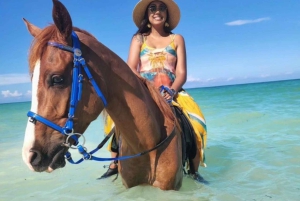 ザンジバル：ガイド付きビーチでの乗馬体験