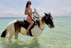 Zanzibar: Ridning på stranden med guide