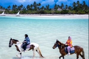 Zanzibar: Ridning på stranden med guide