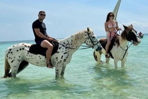 Zanzibar: Ridning på stranden med guide