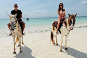 Zanzibar: Ridning på stranden med guide