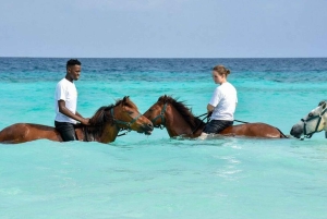 Zanzíbar: Paseo a caballo por la playa con guía