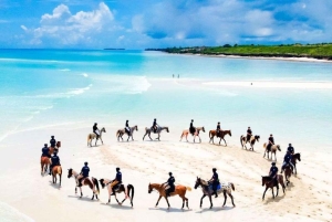 Zanzíbar: Paseo a caballo por la playa con guía