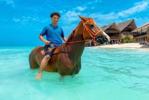 Zanzíbar: Paseo a caballo por la playa con guía