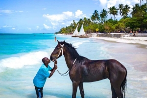 Zanzíbar: Paseo a caballo por la playa con guía