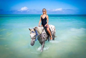 Zanzibar : Promenade à cheval sur la plage avec prise en charge