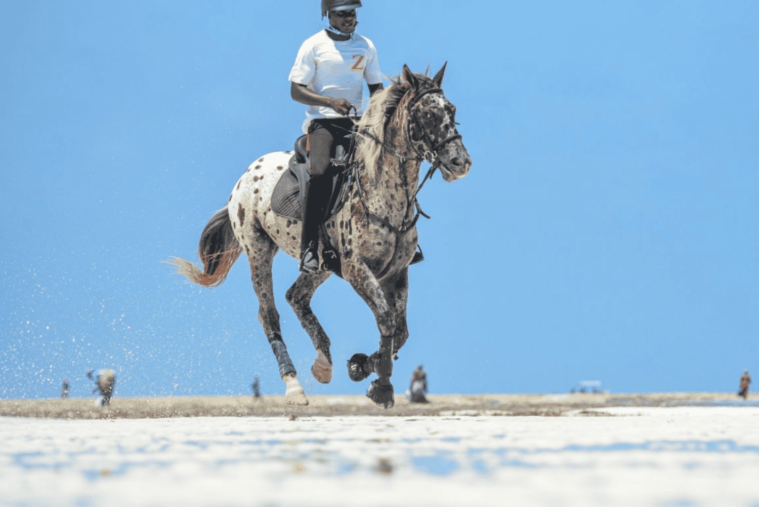 Zanzibar: Horseback riding on the beach