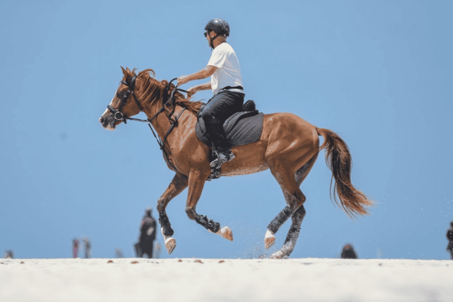 Zanzibar: Horseback riding on the beach
