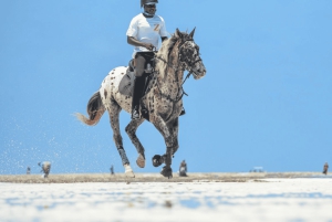 Zanzibar: Horseback riding on the beach
