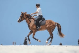 Zanzibar: Horseback riding on the beach