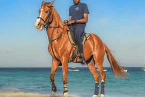 Zanzibar: Horseback riding on the beach