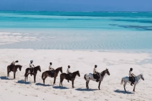Zanzibar: Horseback riding on the beach