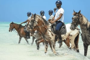 Zanzibar: Horseback riding on the beach