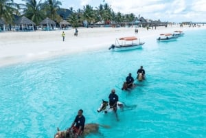 Zanzibar: Horseback riding on the beach