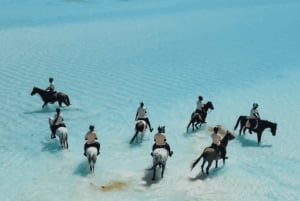 Zanzibar: Horseback riding on the beach