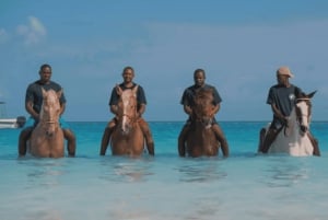 Zanzibar: Horseback riding on the beach