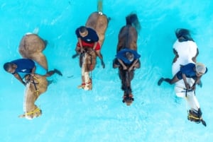 Zanzibar: Horseback riding on the beach