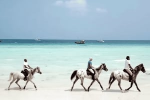Zanzibar: Horseback riding on the beach